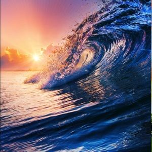 Meet your Posher, Gregorio